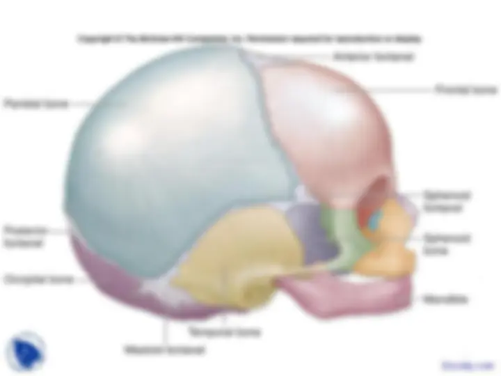 pf26
