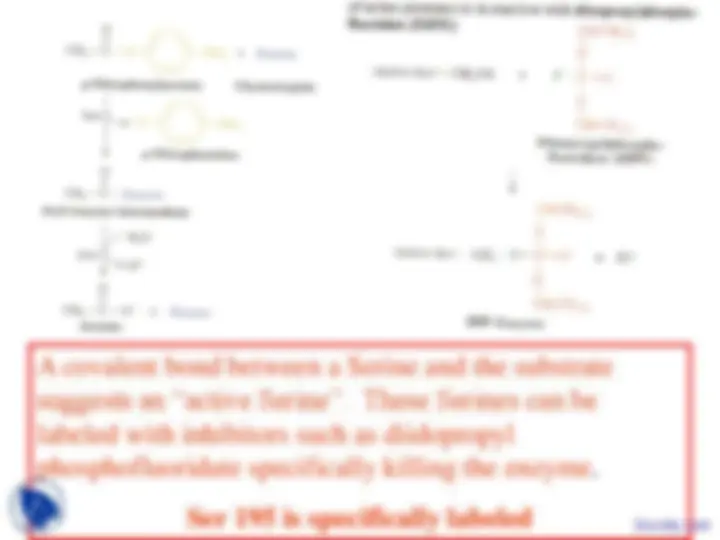 Enzyme Kinetics and Catalysis - Biochemistry - Lecture Slides | Slides ...