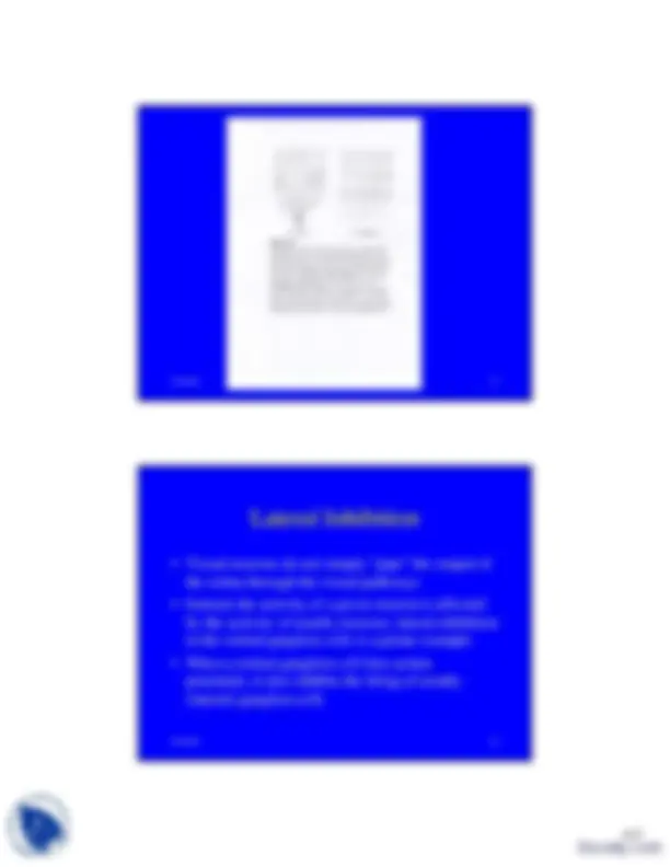 Eyes that See Light - Sensation and Perception - Lecture Slides ...
