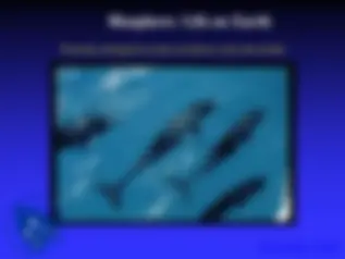 pf3