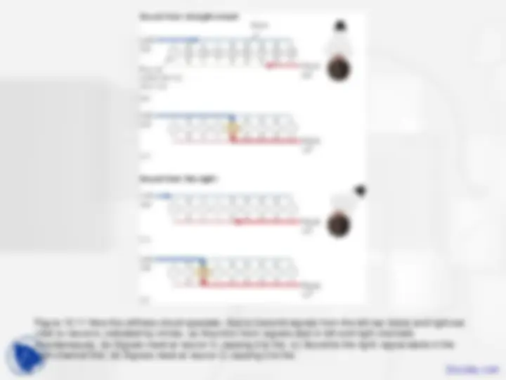 Sound Localization, Auditory Scene - Cognitive Psychology - Lecture ...