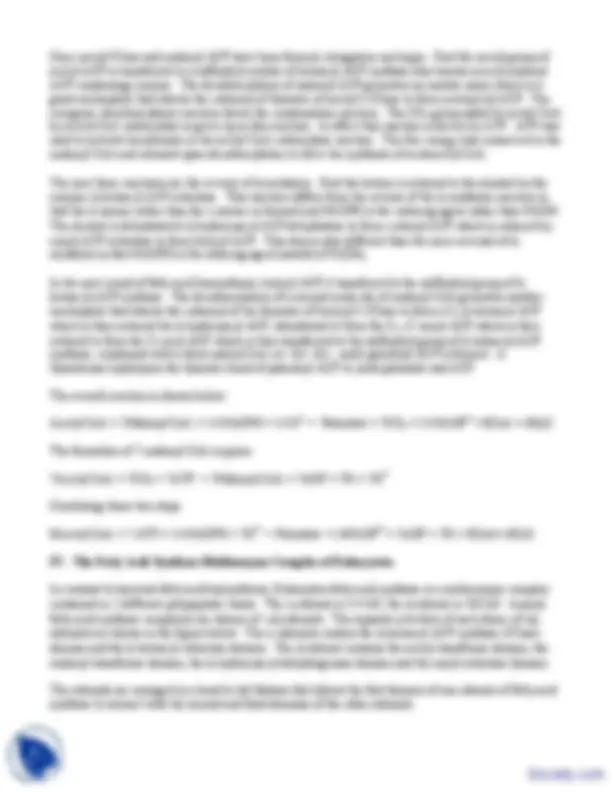 Fatty Acid Biosynthesis - Biochemistry - Lecture Notes | Study notes ...