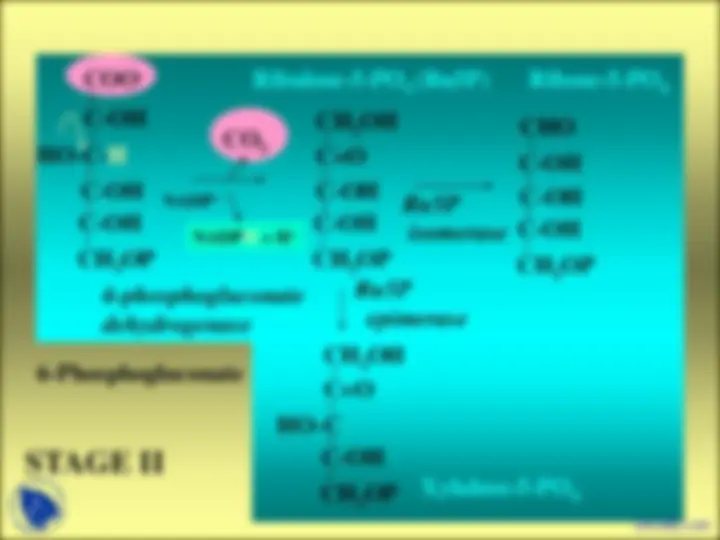 pf3