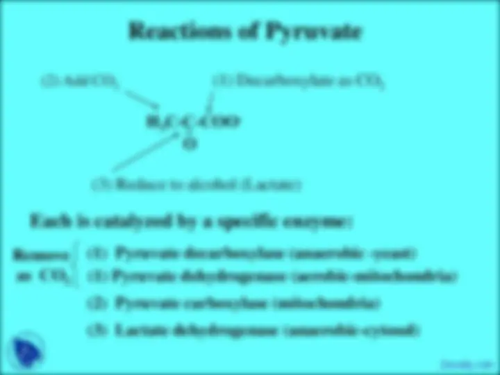 pf3