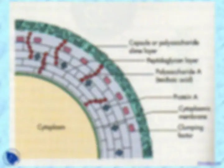 pf8