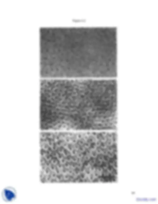 pf5