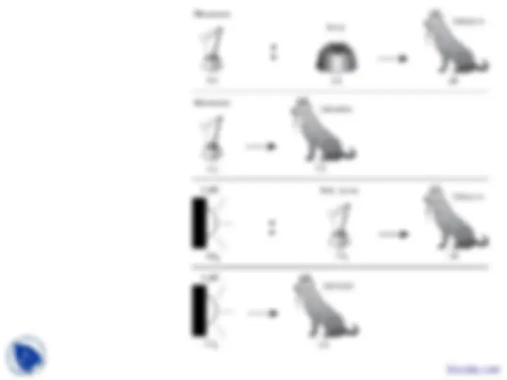 pfe