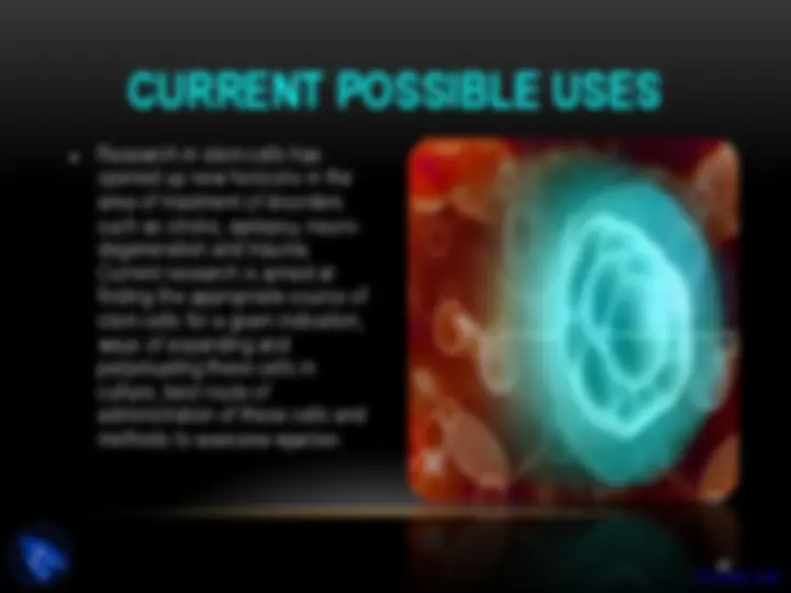 pf3b