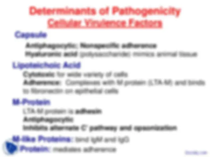 pf13