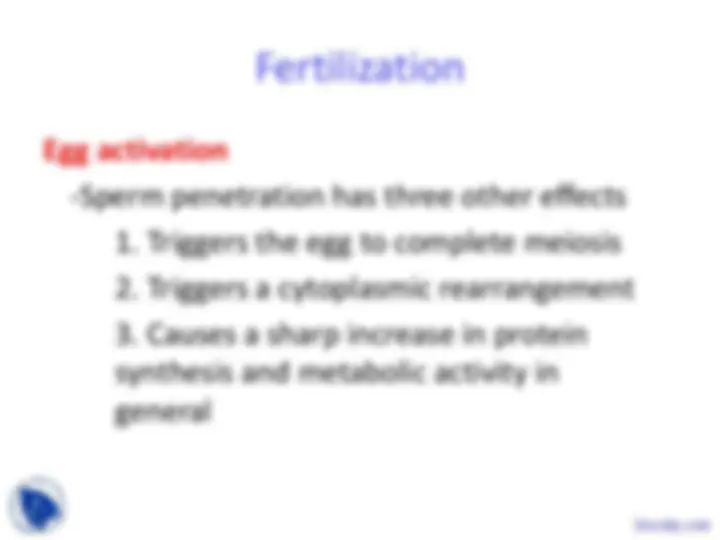 Animal Development - Animal Form, Function and Diversity - Lecture ...