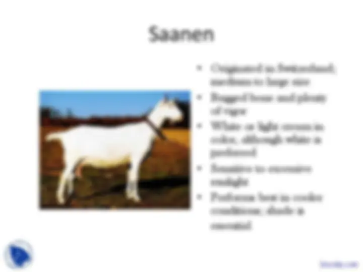 Dairy Goats: Breeds, Facts, and Fun Activities | Slides Biology | Docsity