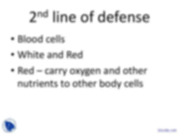 pf26