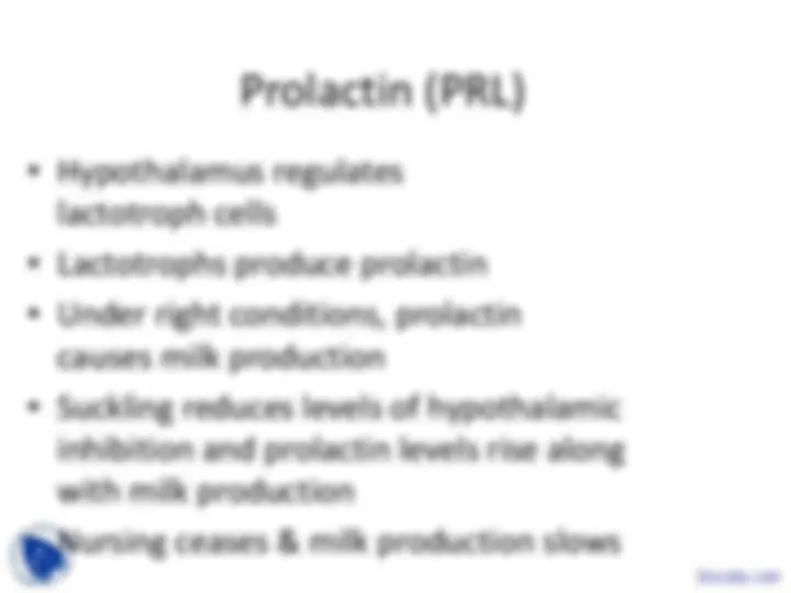 pf1b