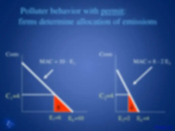 pf19
