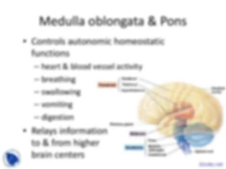 pfa