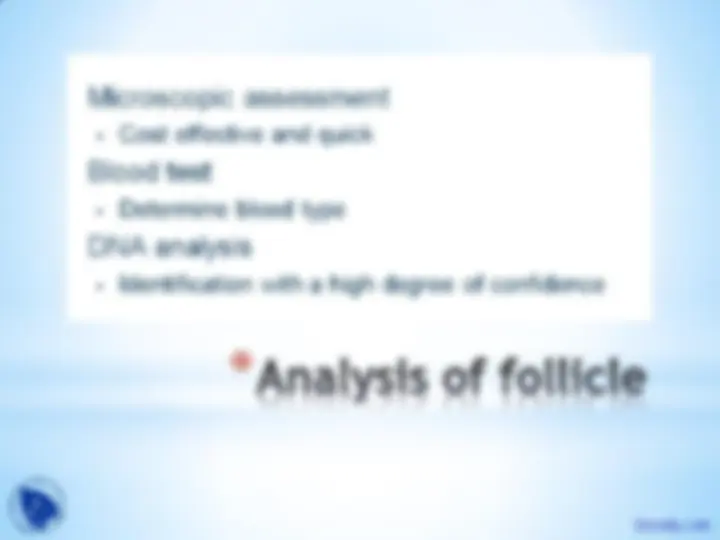 pf20