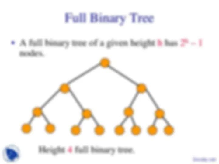 Binary Tree Properties - Algorithms and Applications in Java - Lecture ...