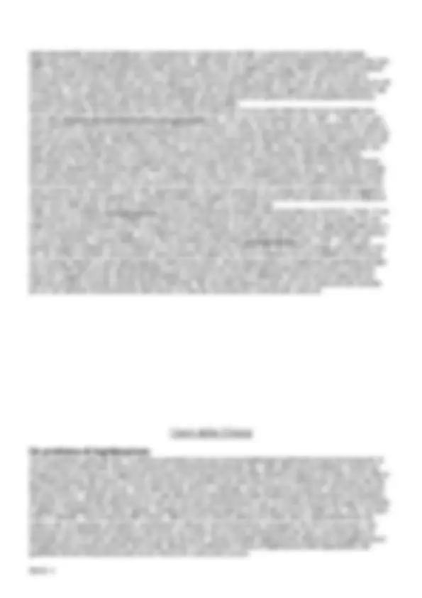 pf21