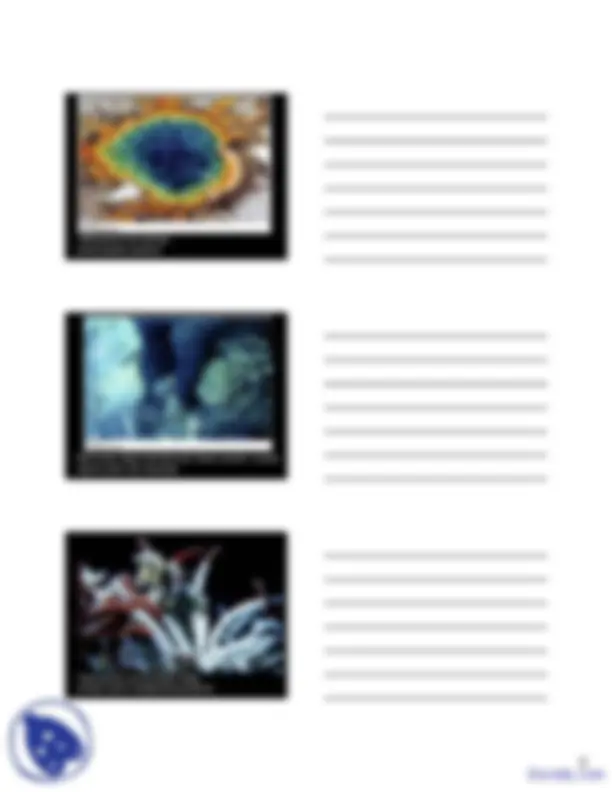 Geobiology - General Geology - Lecture Slides | Slides Geology | Docsity