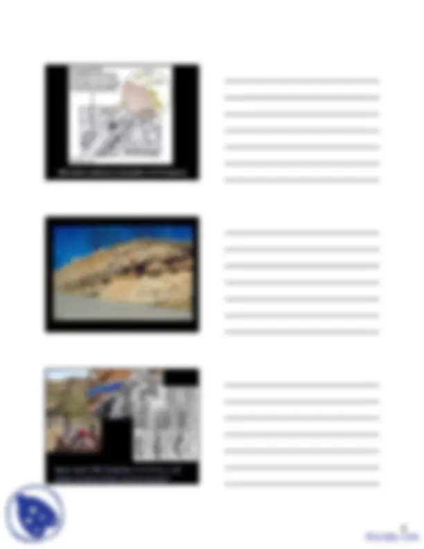 Geobiology - General Geology - Lecture Slides | Slides Geology | Docsity
