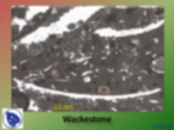 Depositional Environments - Sedimentology - Lecture Slides | Slides ...