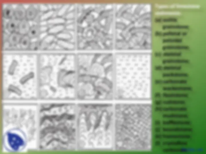 Depositional Environments - Sedimentology - Lecture Slides | Slides ...