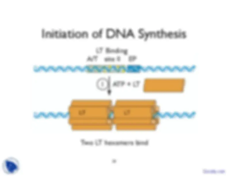 pf8