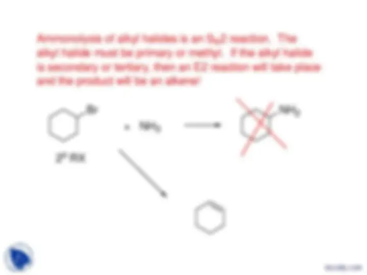 Amines Synthesis - Organic Chemistry II - Lecture Slides | Slides ...