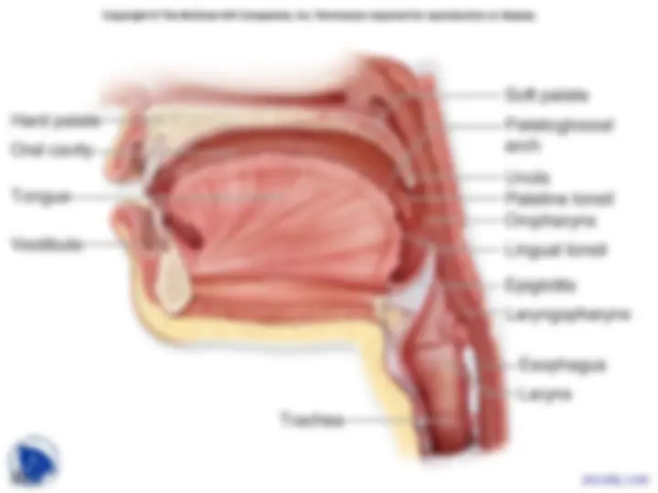 pfa