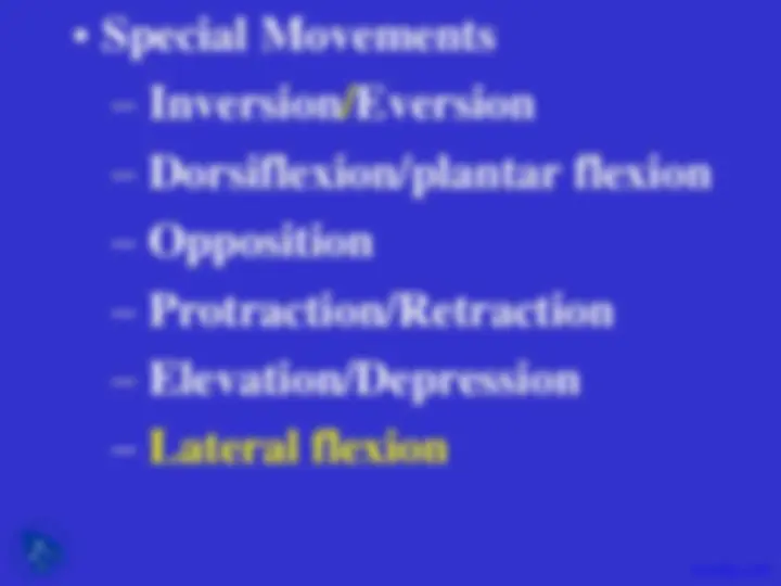 pf31