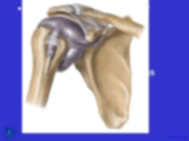 pf18