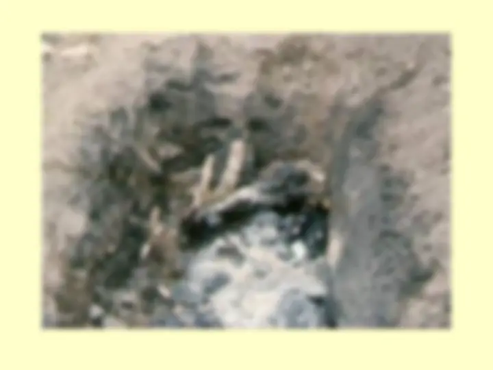 pf2e