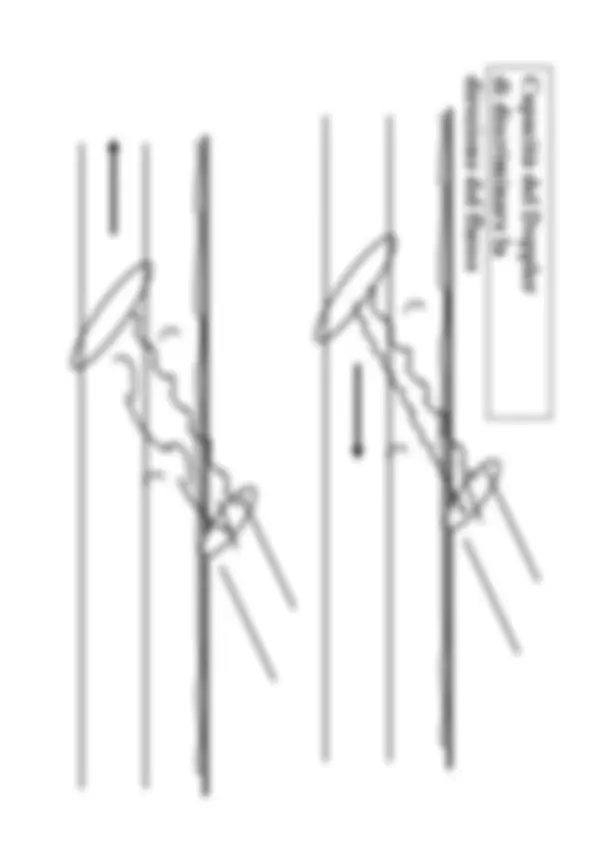 pf20