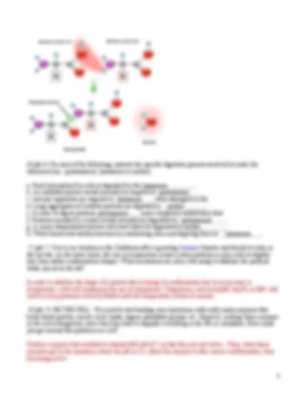 Bio 310 Midterm I: Cell Biology Exam Questions and Answers - Prof ...