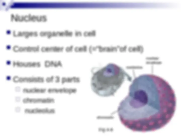 pf1c