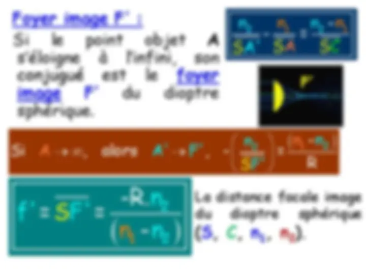 pf19
