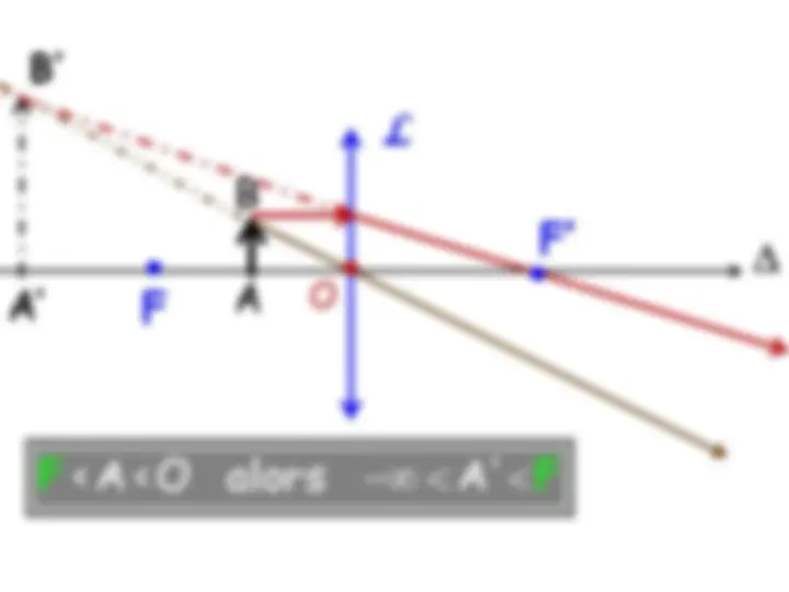 pf31