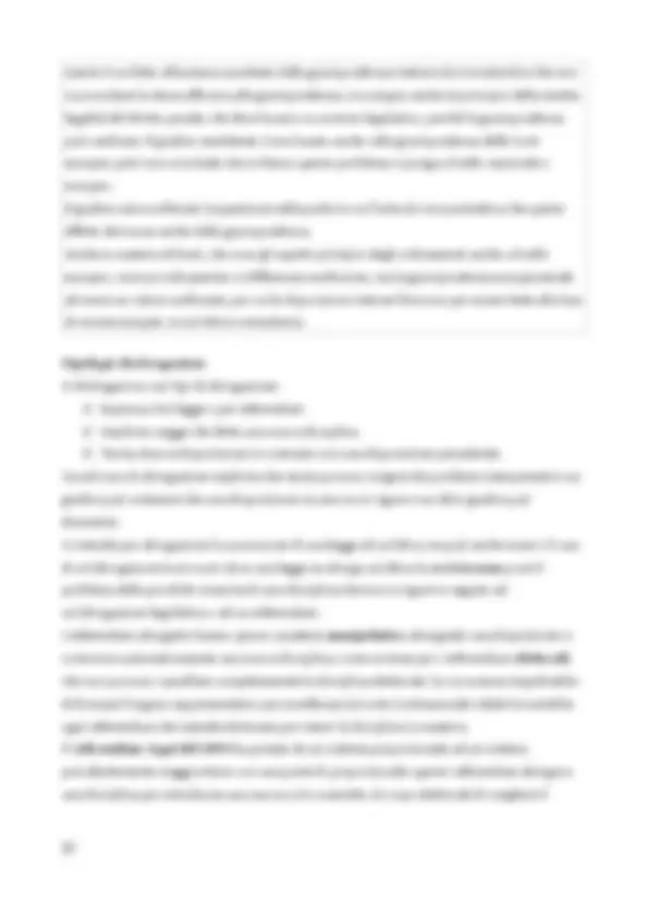 pf20