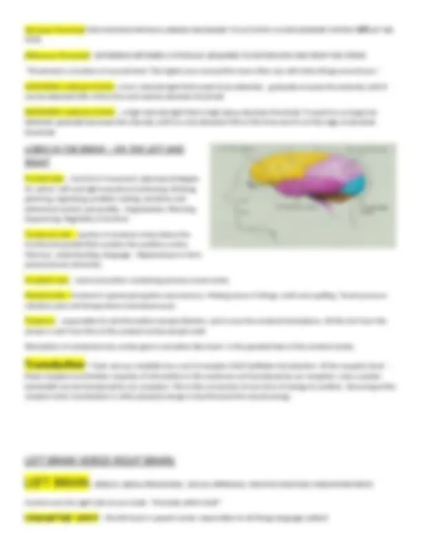 Exam 1 Cheat Sheet - Introductory Psychology | PSYC 2004 | Exams ...