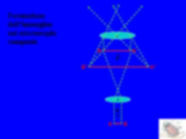 pf1f