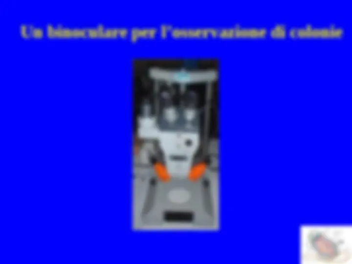 pf13