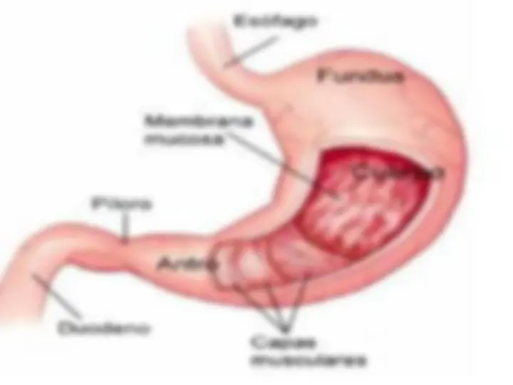 pf4