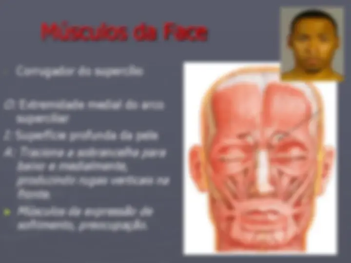 pf19
