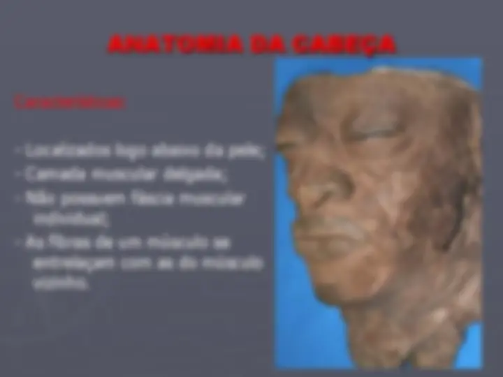 pf3
