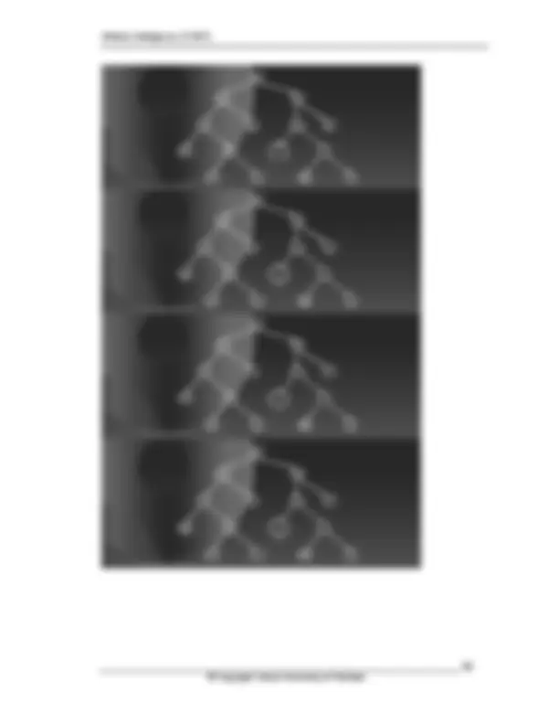 pf24
