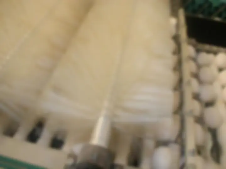 pf34