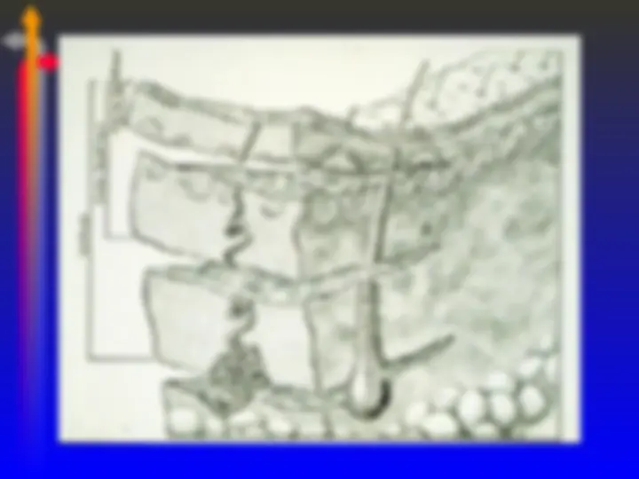 pf39