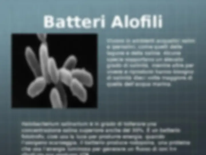 pf5