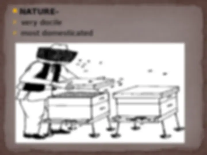 pf1a