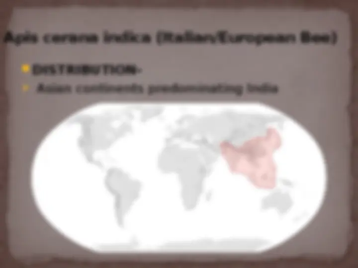 pf1d